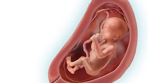 Como saber se o Utrogestan está fazendo efeito?