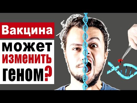 Может ли вакцина или вирус встроиться в геном человека?