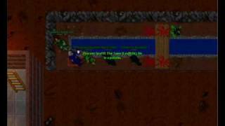 Mordercy team Tibia Valoria pk