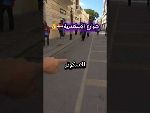 هل تعرف شارع النبي دنيال في الاسكندرية تطور تنمية شوارع سياحة الاسكندرية