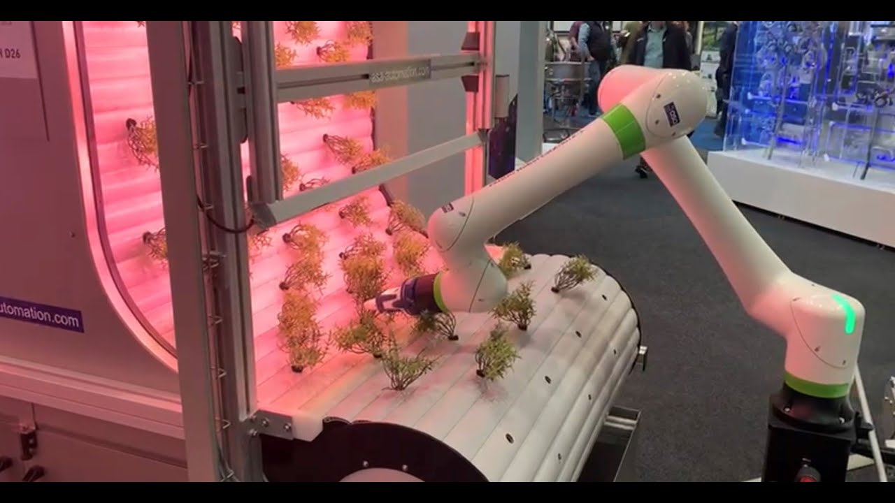 VERTICAL FARMING – NAHRUNG DER ZUKUNFT?