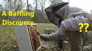 Hive Split Pre-Inspections