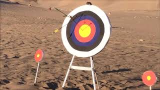 Tiro con Arco screenshot 5