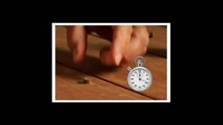 Celebrity The Smart-Bit Pro Plug System for Wood Installation - Net Worth