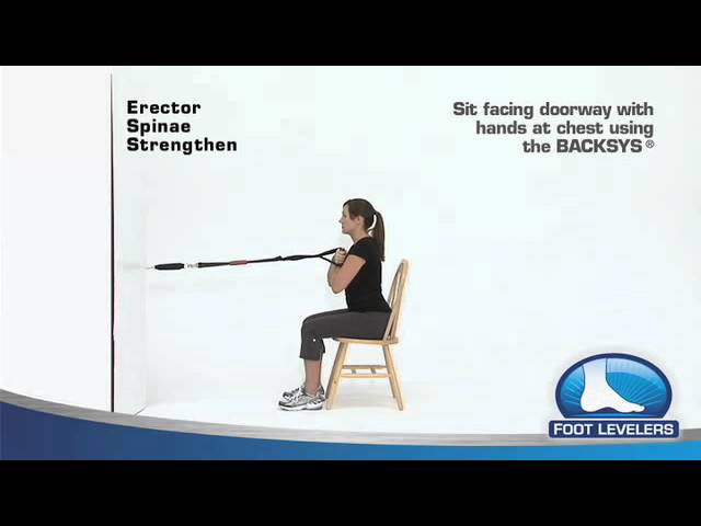 Erector Spinae Strengthen