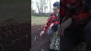 SPI Gardening Tip: Timing for the Frost
