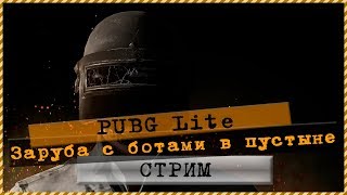 PUBG Lite 💣Заруба с ботами в пустыне 🎮 Стрим