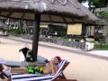 MINMI★ハイビスカス★バリ島ハネムーン