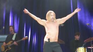 Iggy Pop + Michael Rother "Hero" live in Hamburg Stadtpark 20.6.2022