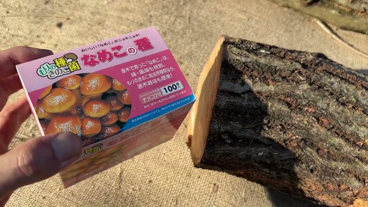 しいたけとなめこの原木作り