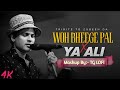 Zubeen Garg Woh Bheege Pal x Ya AliMashup | Aftermorning Chillout | TG LOFI | 2025 Mashup !!