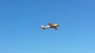 Ziv Sharony Maidens His 3Dhs Extra 330Lt 108