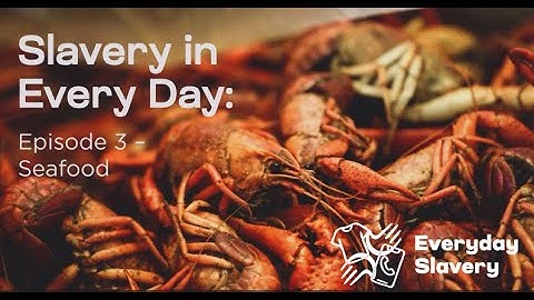 Slavery in Every Day E3: Seafood