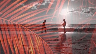 Zander Bleck + Avi Snow - Forget You