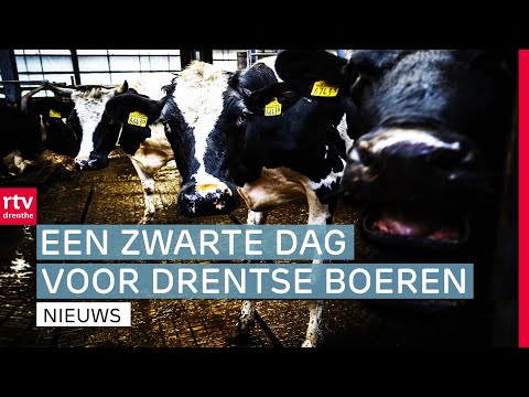 Stikstofplannen raken Drenthe, TT museum is geopend & ganzenoverlast in Coevorden | Drenthe Nu