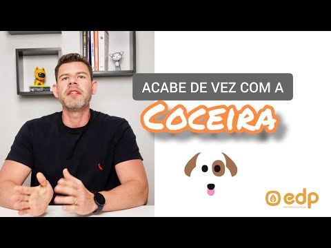 Vídeo: Diferença entre um pitbull e um staffordshire