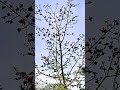 তুমি হলে না আমার #shortreels #vairalvideo