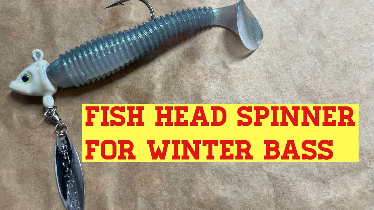 Fish Head Spinner for Fall/Winter Bass Fishing Seasonal Patterns 