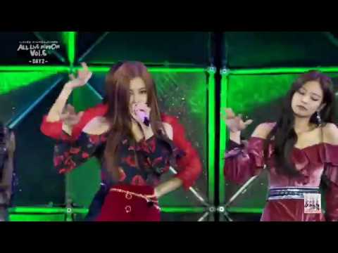블랙 핑크 일본 라이브