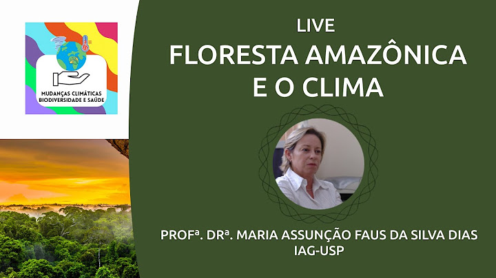 Qual a relação existente entre o desmatamento da floresta amazônica e o clima na produção de alimentos em outras regiões do país *?