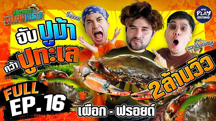 [FULL EP.16] เซียนพาลุย  "เผือก-ฟรอยด์" กรี๊ดลั่น จนปูหนี | เฮ็ดอย่างเซียนหรั่ง | One Playground