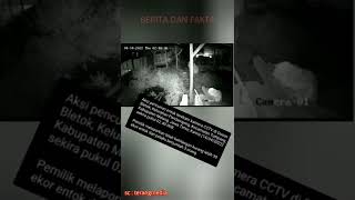 Download Lagu Aksi pencurian entok terekam CCTV MP3 Download Lagu Aksi pencurian entok terekam CCTV MP3