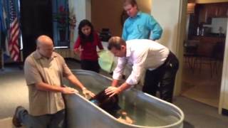 Amy's baptism
