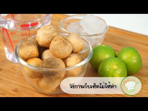 วิธีการเก็บเห็ดไม่ให้ดำ | เคล็ดลับก้นครัว