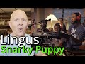 Band Teacher Reacts to Snarky Puppy Lingus