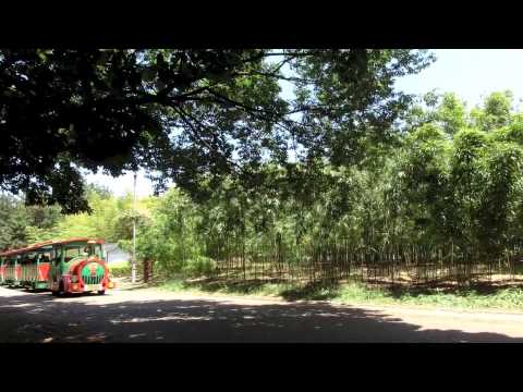 長居公園と長居植物園は輝いていた！（2014.5月）