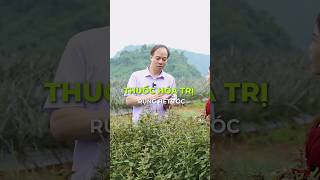 Bản Chất Của Ut, Hóa Ch.ất Tác Động Đến Sức Khỏe