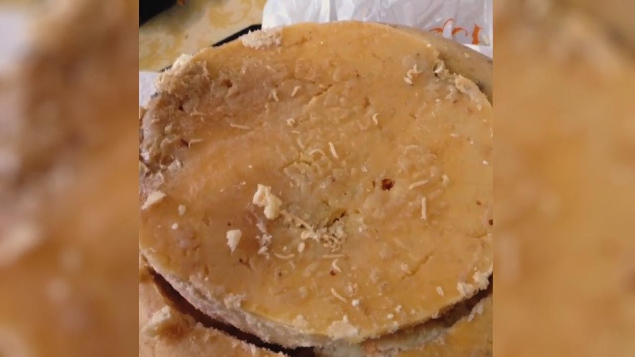 Cheese Crawling with Maggots?! Would You Try This Italian Delicacy