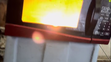 Lightbulbs EXPLODE Inside Microwave!