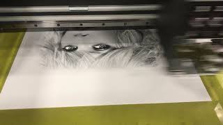 M&R - i-Image STE LED 26x43 w/ 3 Print Heads I.D.# 4057