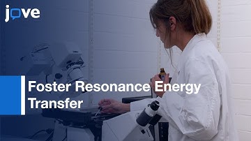 Foster Resonance Energy Transfer Measurements in Living Plant Cells| Protocol Preview