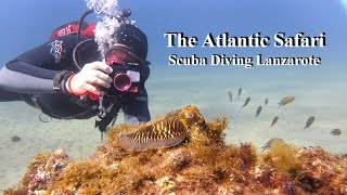 Scuba Diving Lanzarote. Atlantic Safari. november 2022.