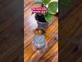 Chia seeds water #benefits #weight loss #trending #food #cooking #meena khan s kitchen #ytshorts ￼