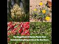 🪴The Magnificent 8 Native Plants That Outshine Everything at the at the Box Stores