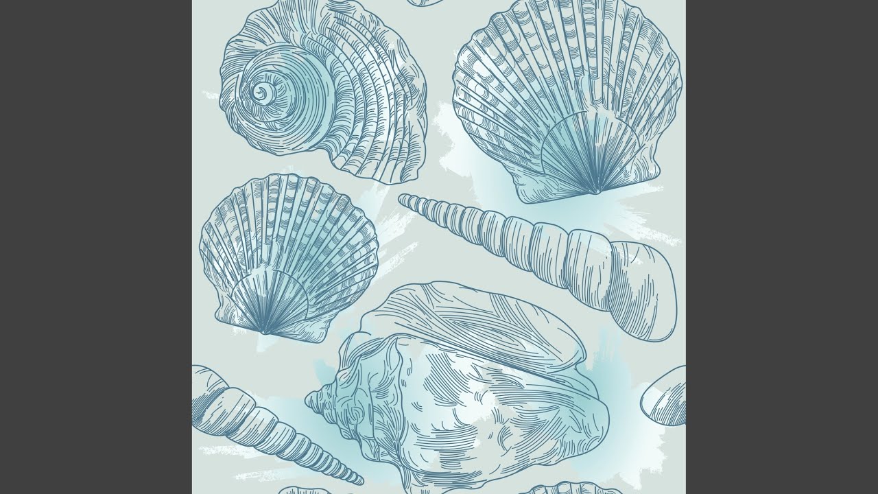 Watch Seashells on YouTube Watch Seashells on YouTube