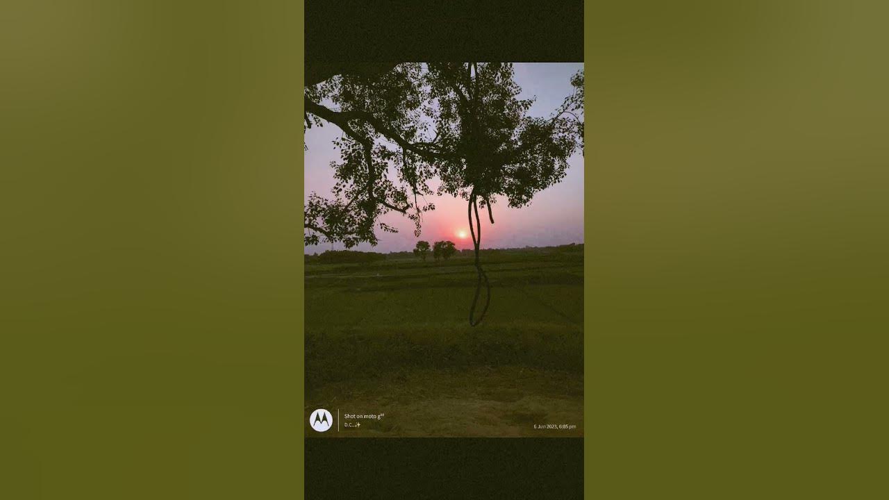 Best WhatsApp Status For Nature Lovers 🏞️ ️ ️🥰 YouTube