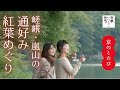 京のこたび 嵯峨・嵐山の通好み紅葉めぐり / 京都いいとこ動画