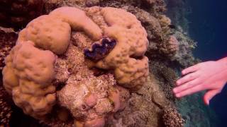 Vilamendhoo, Maldives 2016