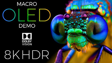 Macro World OLED Demo HDR 8K Ultra HD Dolby Vision™ 60fps