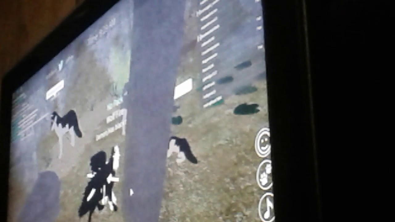 camera iphone 8 plus apk Wolf life part two sorry