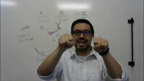 Back to the Basics #2   Oculomotor Nerves