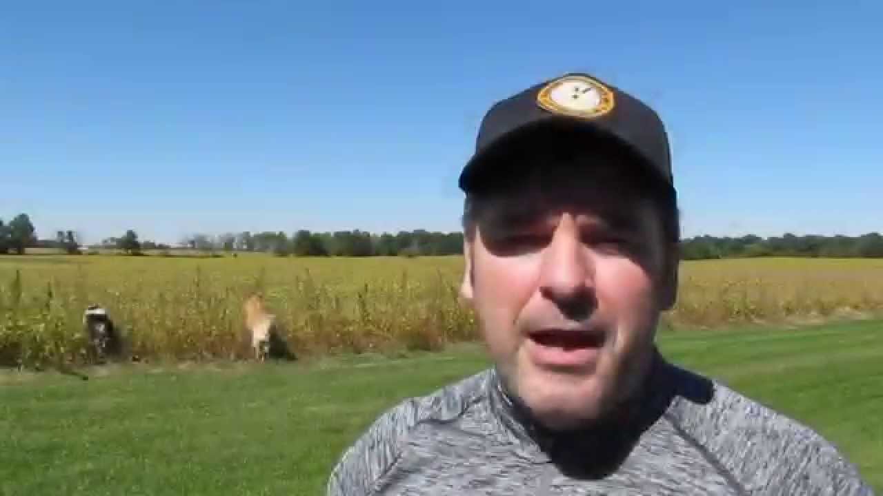 Dogtra 1900s VS ECollar Technologies K9400 YouTube