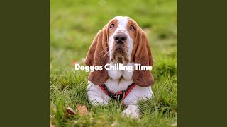 Vintage Guitar Bossa Nova Trio - Vibe for Puppy Imagination