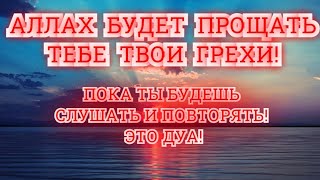 АЛЛАХ БУДЕТ ПРОЩАТЬ ТЕБЕ ТВОИ ГРЕХИ! ПОКА ТЫ БУДЕШЬ ПОВТОРЯТЬ ЭТО!