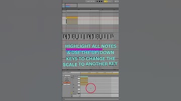 Easy way to keep your melodies within any chosen scale #abletontips #musicproduction #ableton