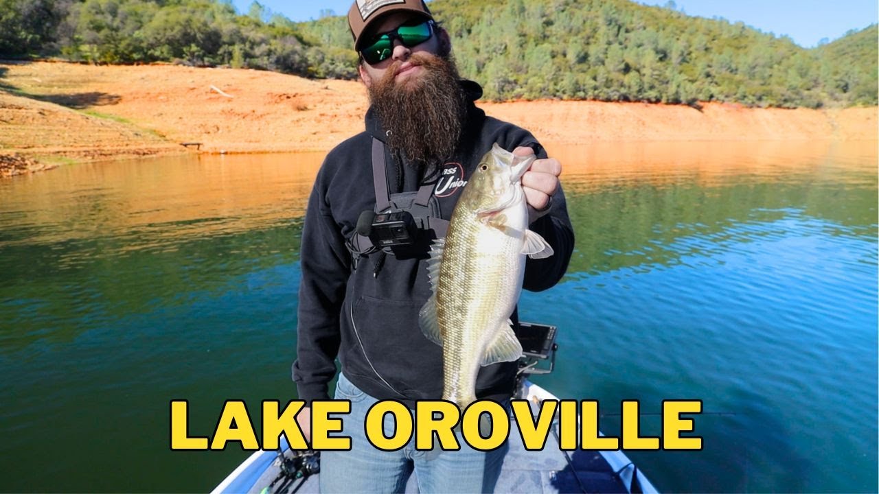 We Snuck Into BASS UNIONS Backyard – Lake Oroville Winter Bass Fishing